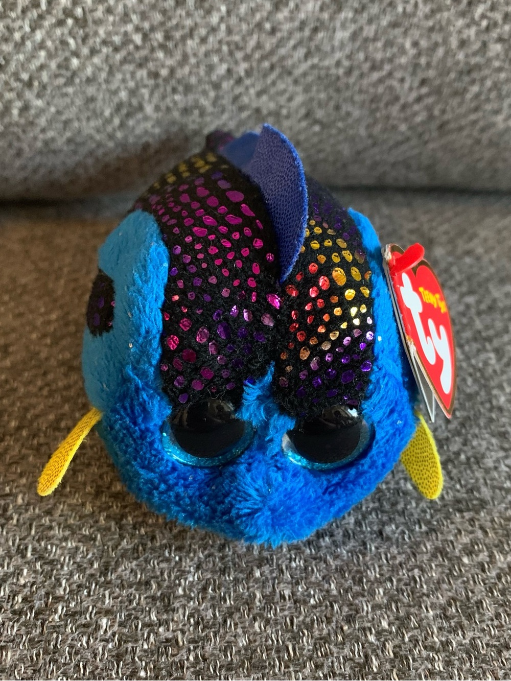BNWT Ty Beanie Boos Teeny Madie Blue Tang Fish Plush Stuffed Animal Toy